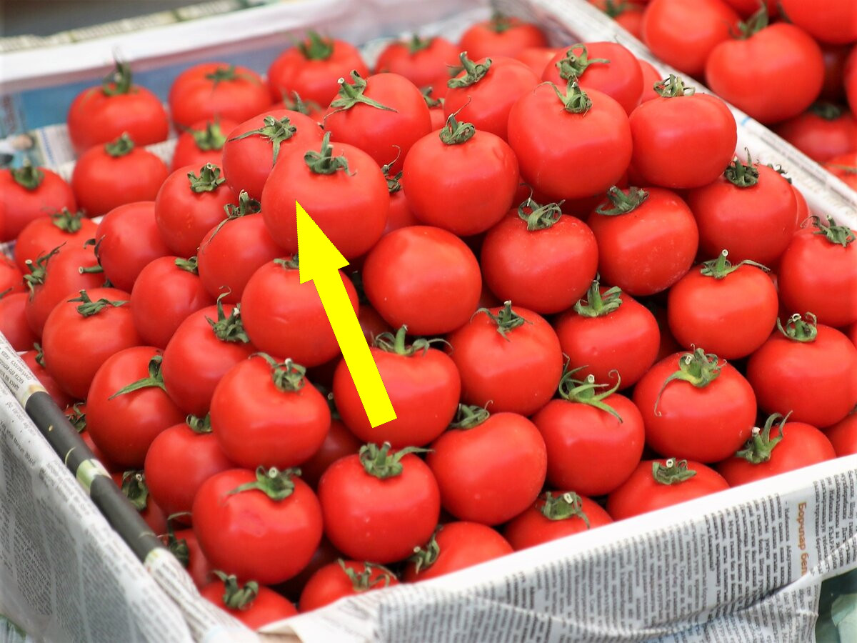 Почему розовые помидоры лучше красных: взгляд узбечки