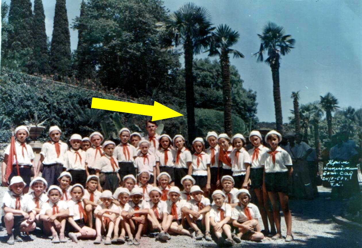 Детские лагеря СССР: наследие «Артек» и его собратьев