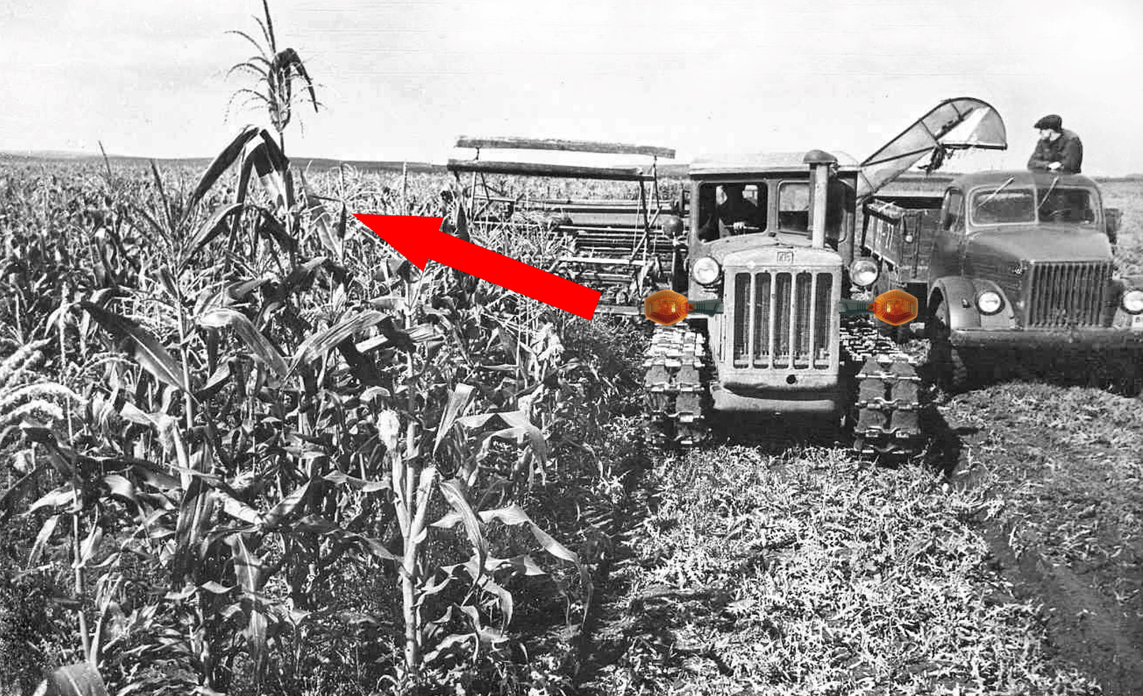 Освоение целины как символ советского сельского хозяйства