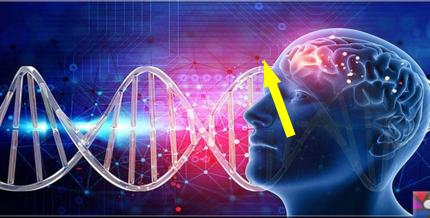 Психология СССР: исследования человеческого сознания