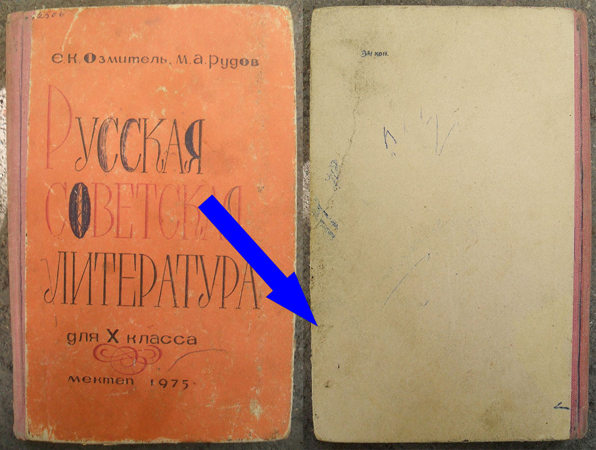 Поддержка молодых писателей в СССР