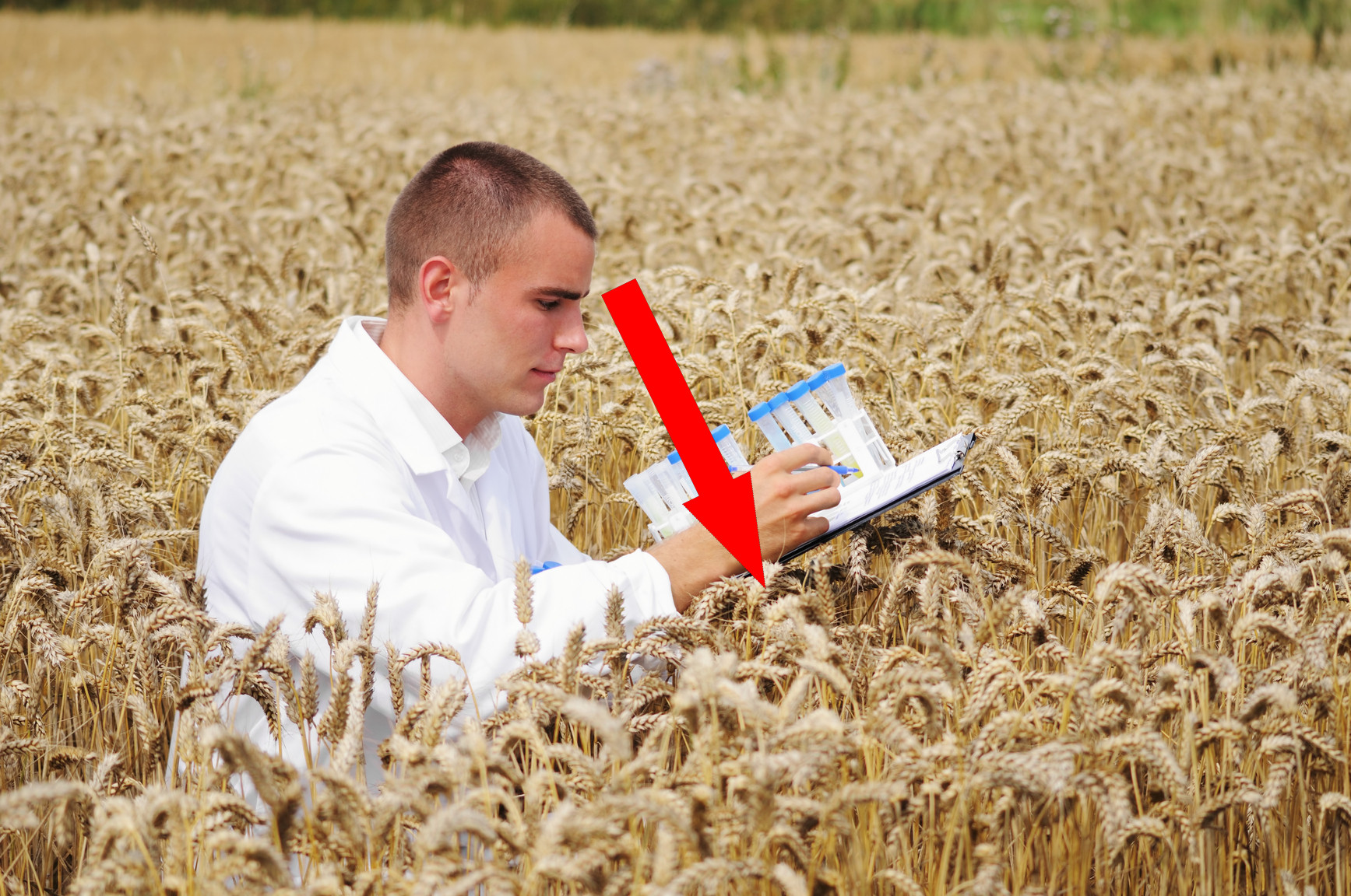 Сельскохозяйственное образование в СССР: Формирование кадров агрономов и зоотехников