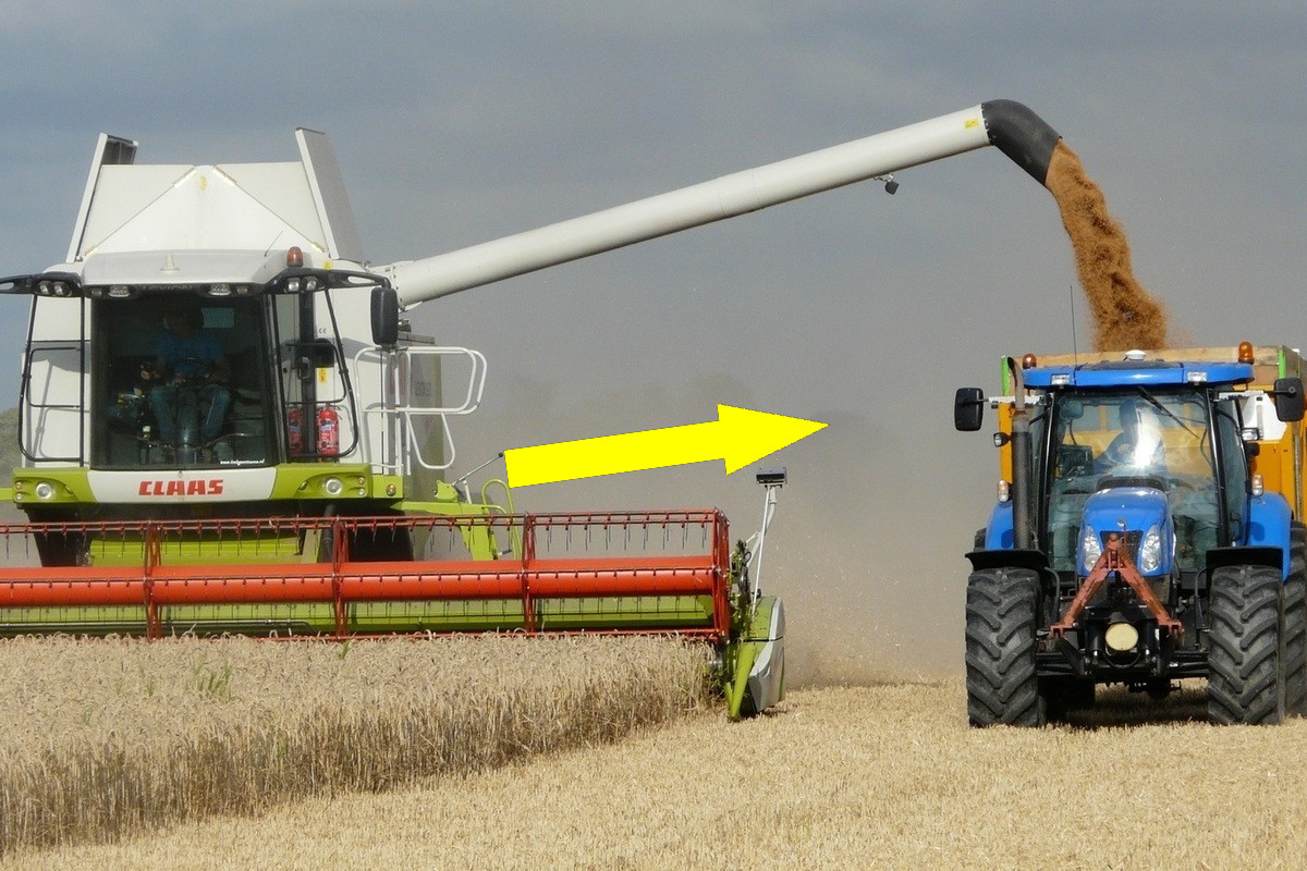 Урожайные страсти