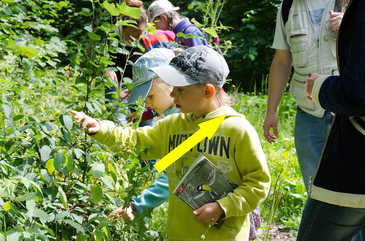 Юные натуралисты: исследование природы с любовью