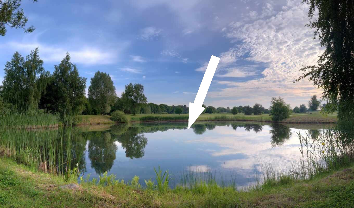 Звук белорусской природы