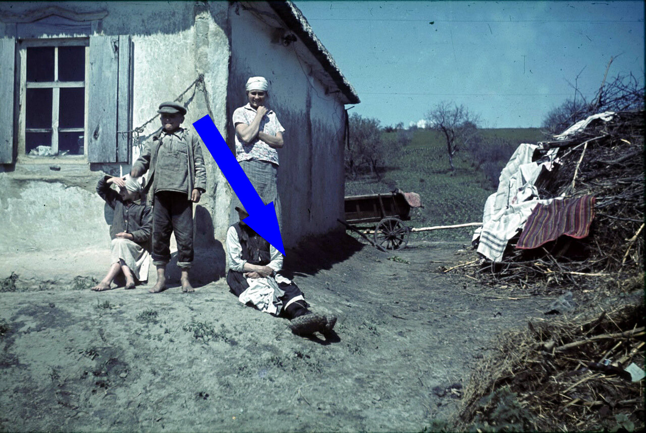 Тени войны: пути выживания в бурные годы