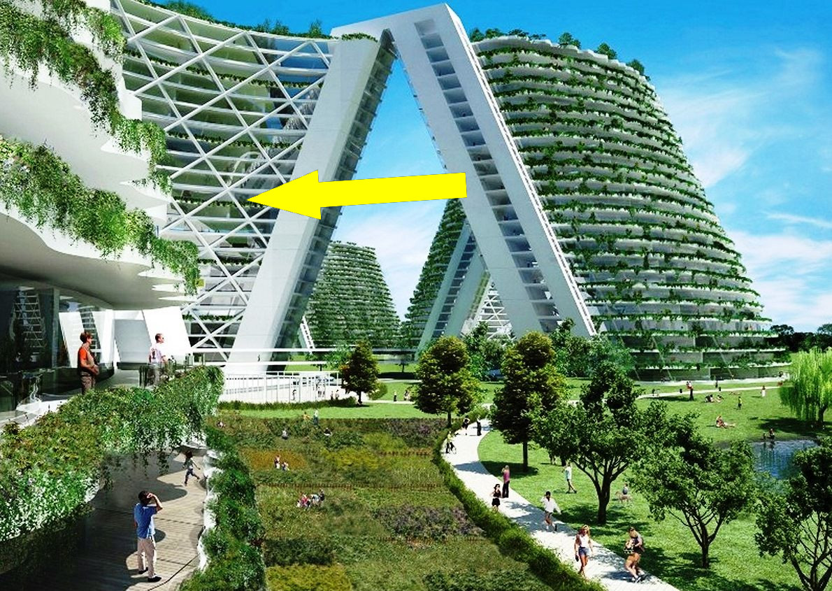 Гармония природы и города