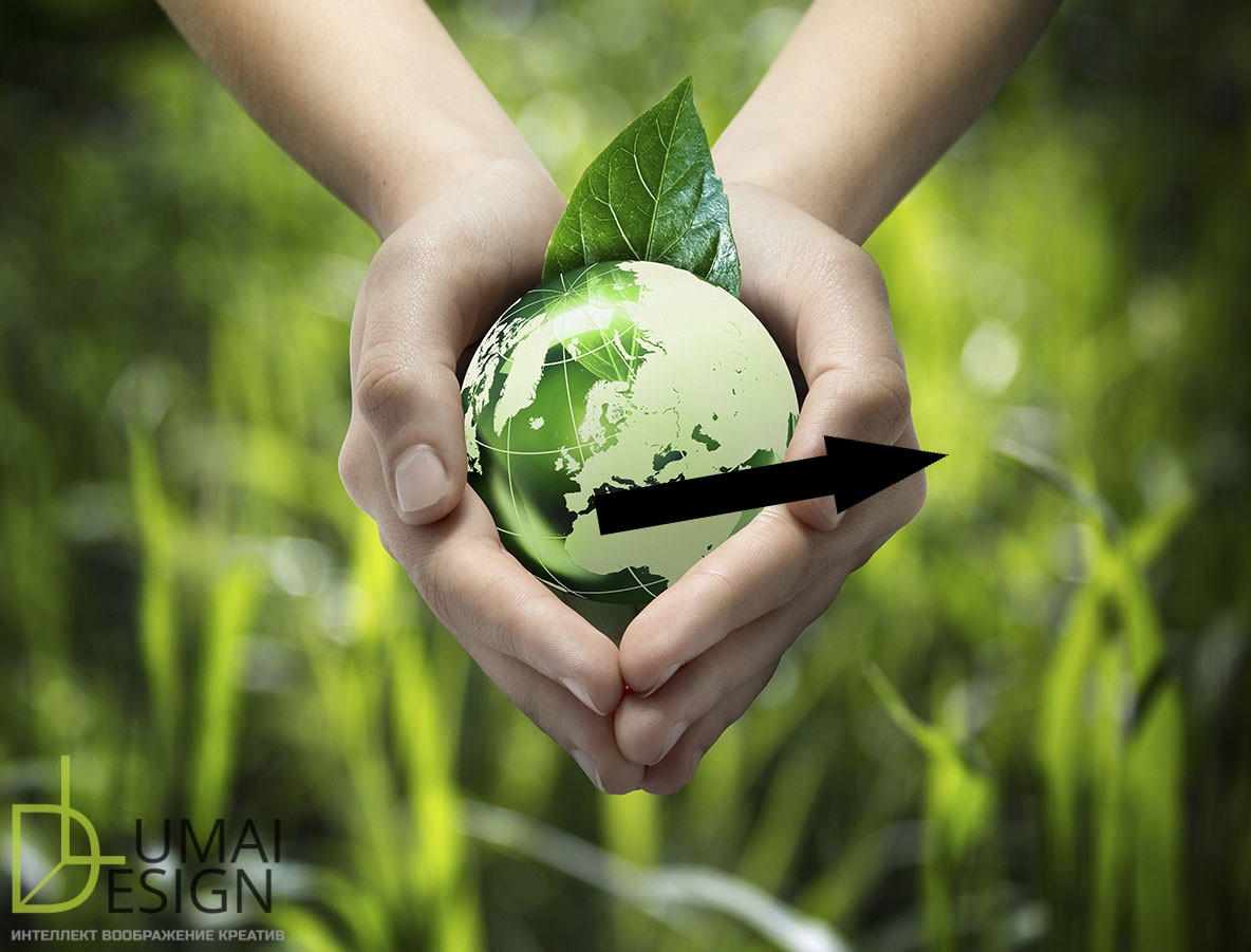 Красота дикой природы в экологических фильмах