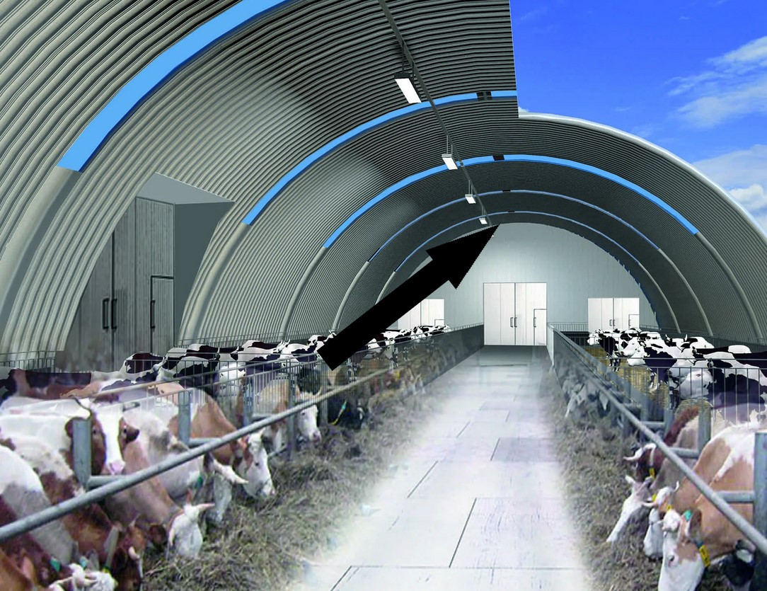 Животноводческие комплексы нового века