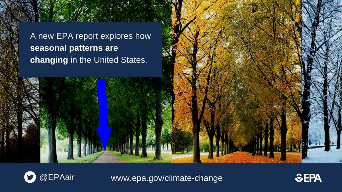 Смена сезонов: радости зимы, лета и осени