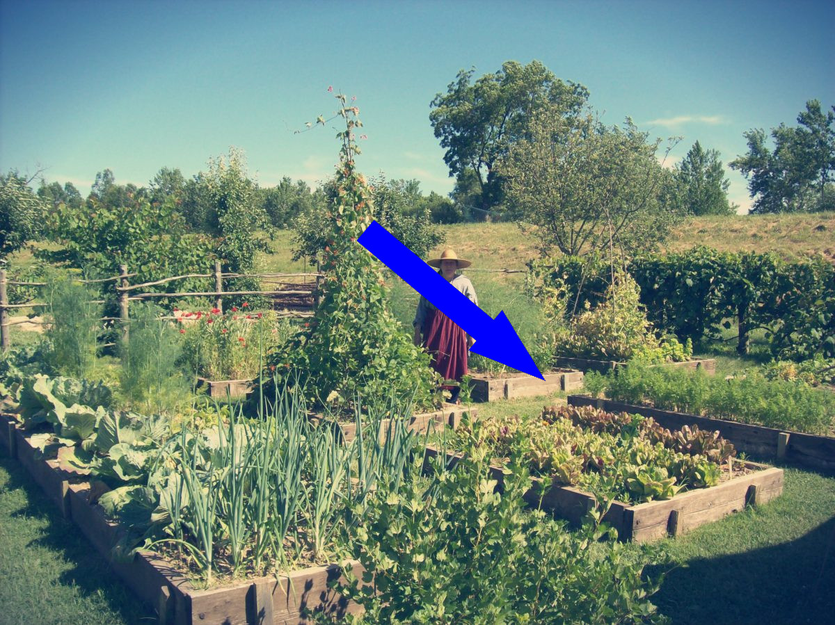 Сельские нотки в городской симфонии