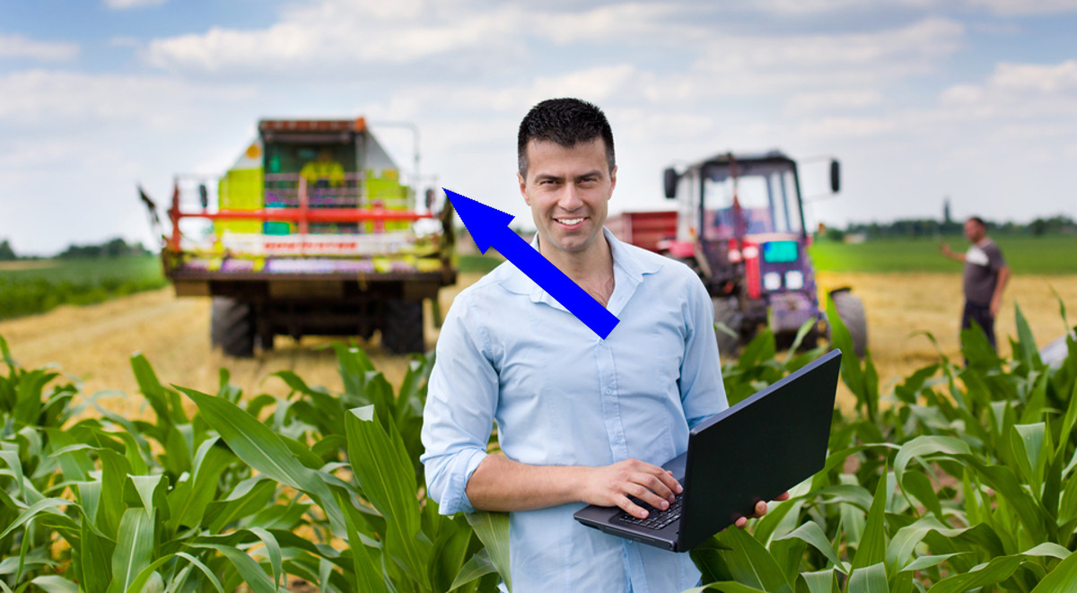 Сельскохозяйственные выставки: мир инноваций и обмена опытом