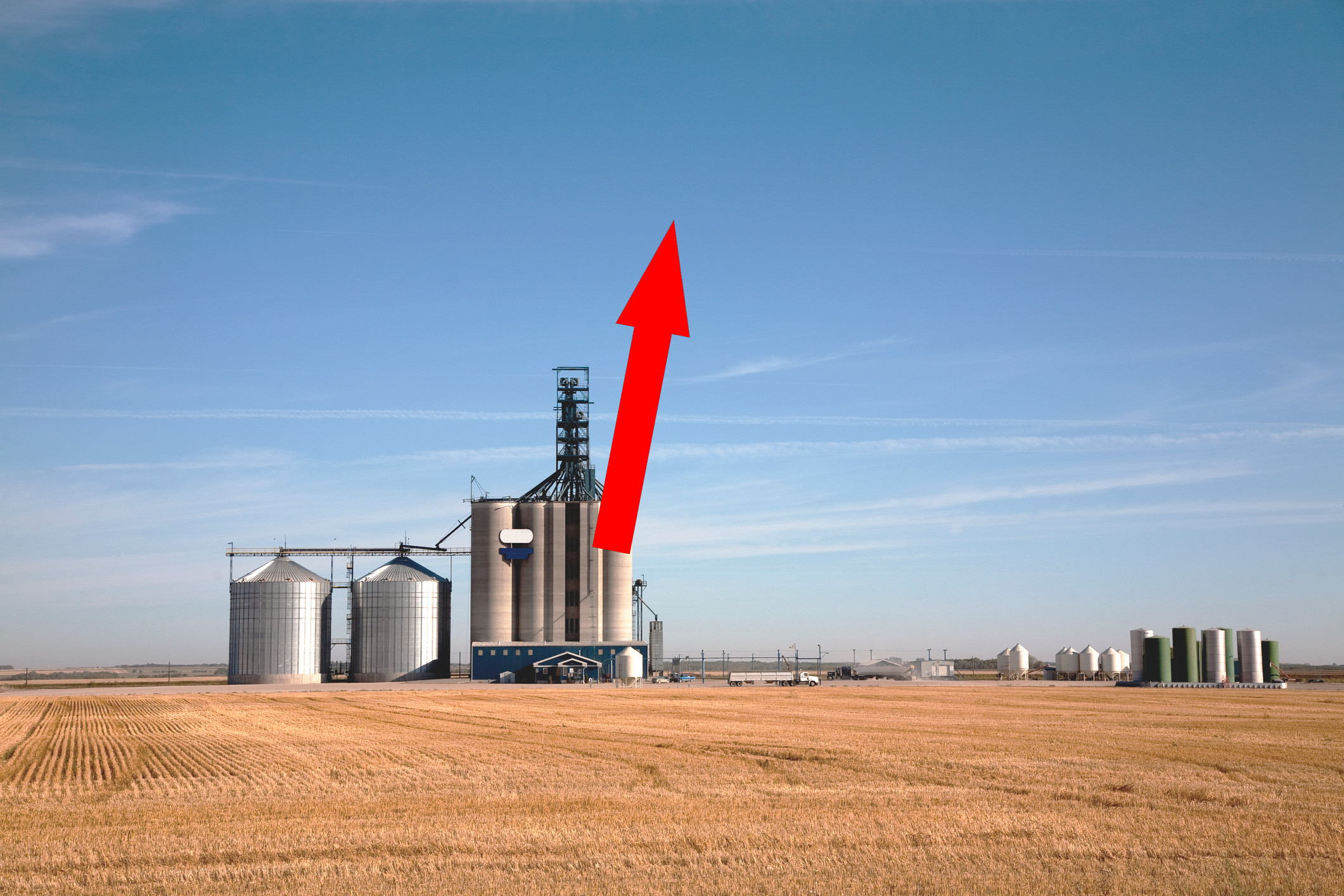 Элеваторы как замки будущего