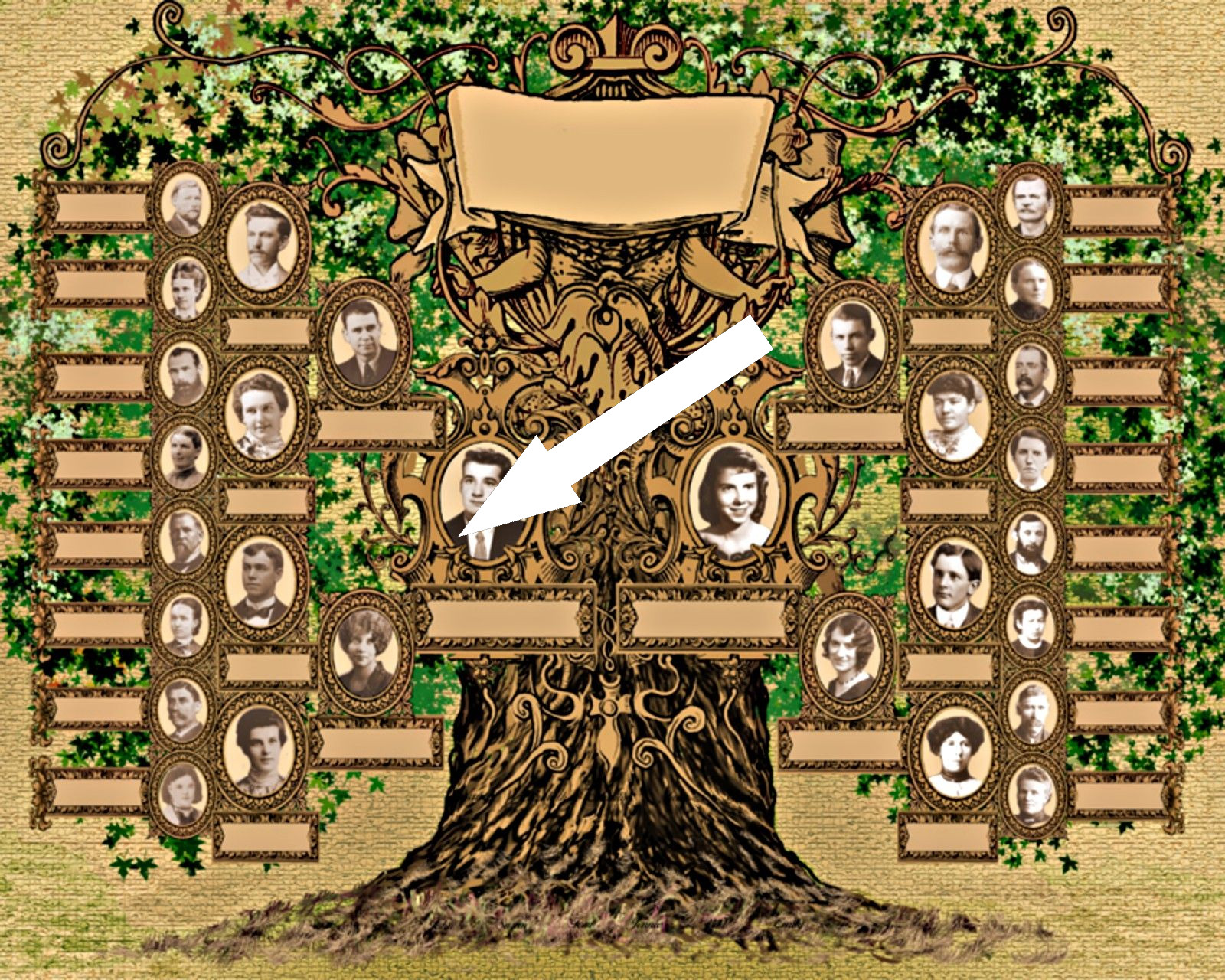 Родословные тайны: как мы открываем свою историю