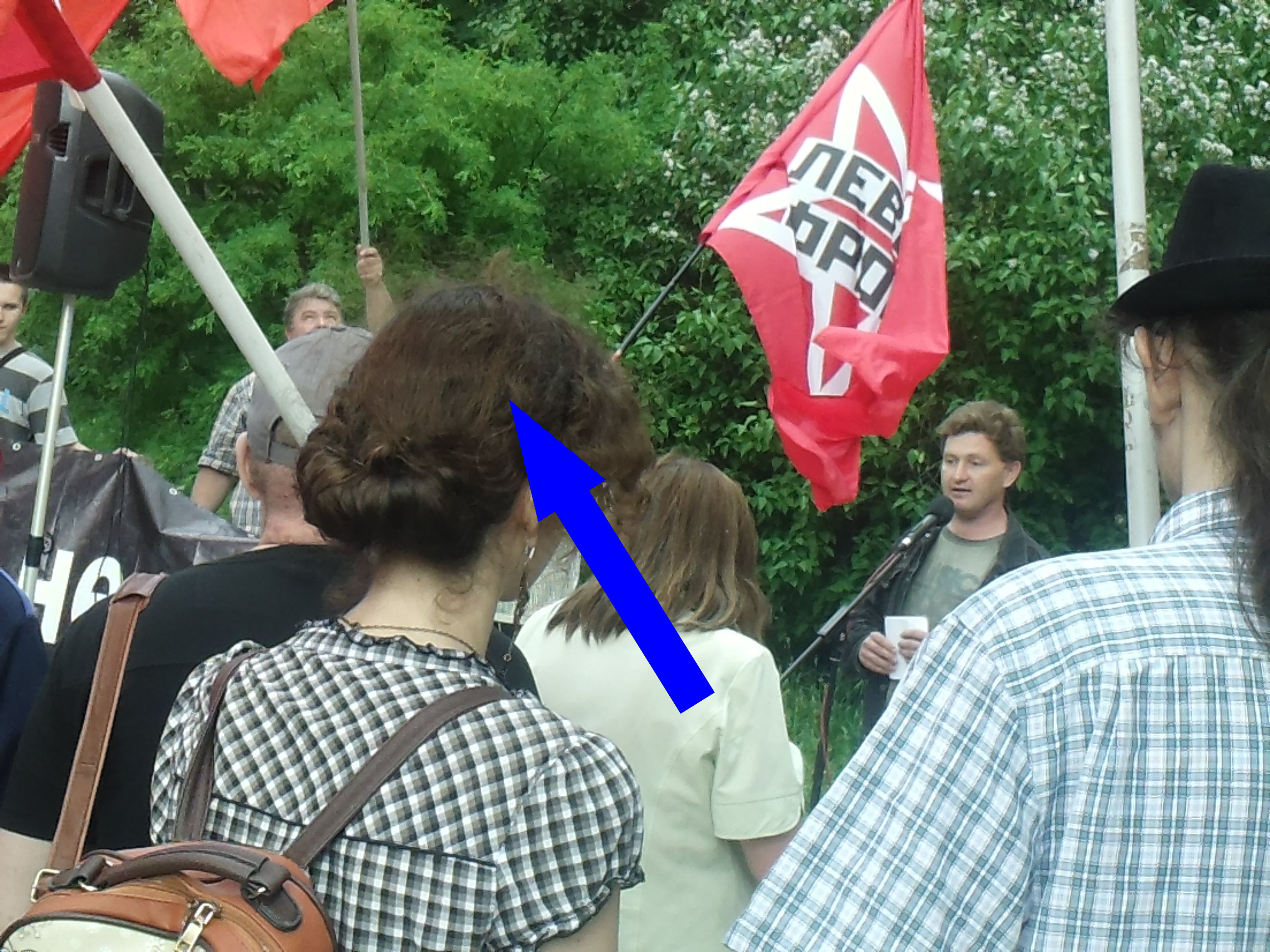 Веселье под звуки митингов