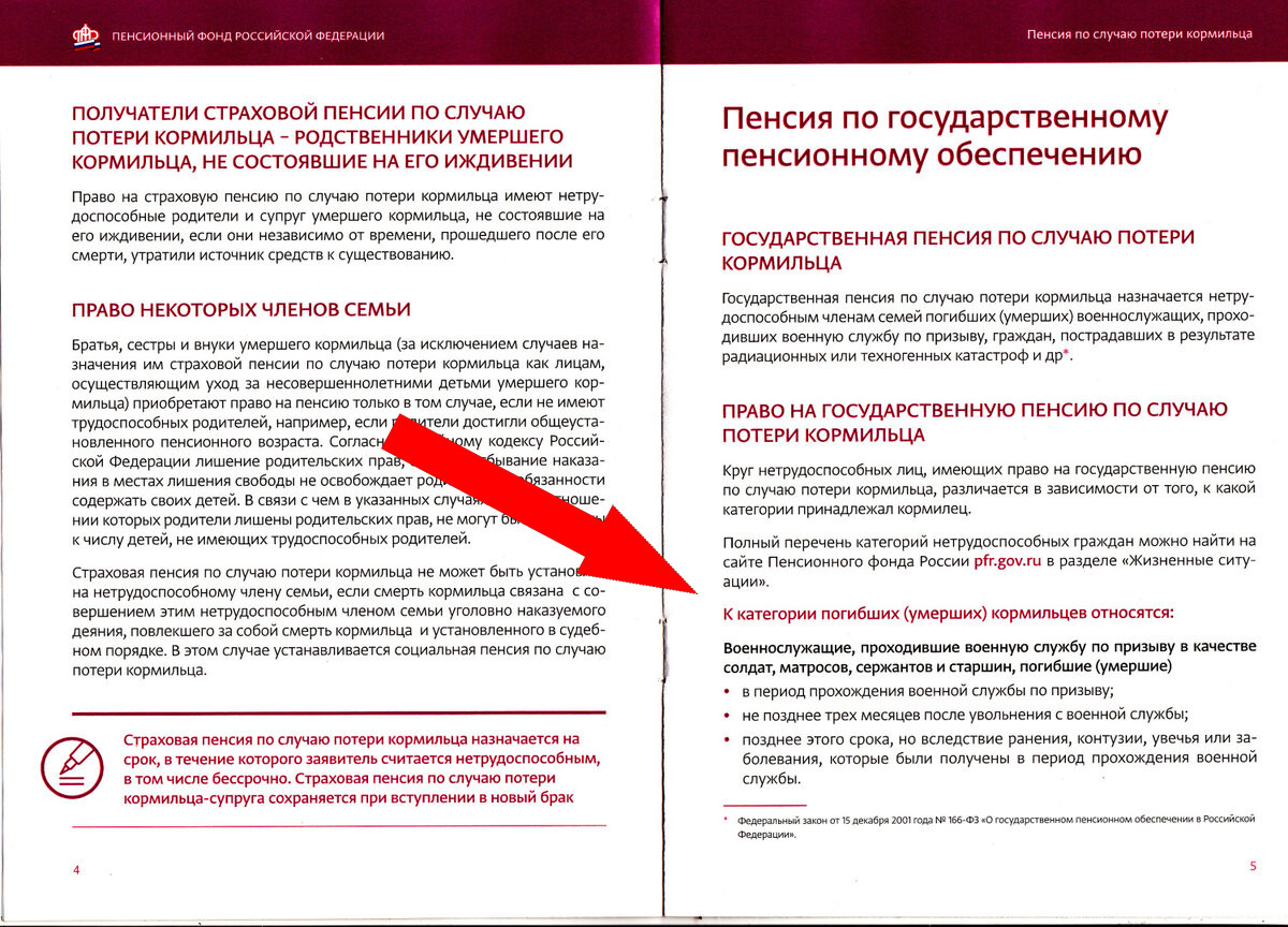 Пенсии по потере кормильца: поддержка для тех, кто остался без отца или матери