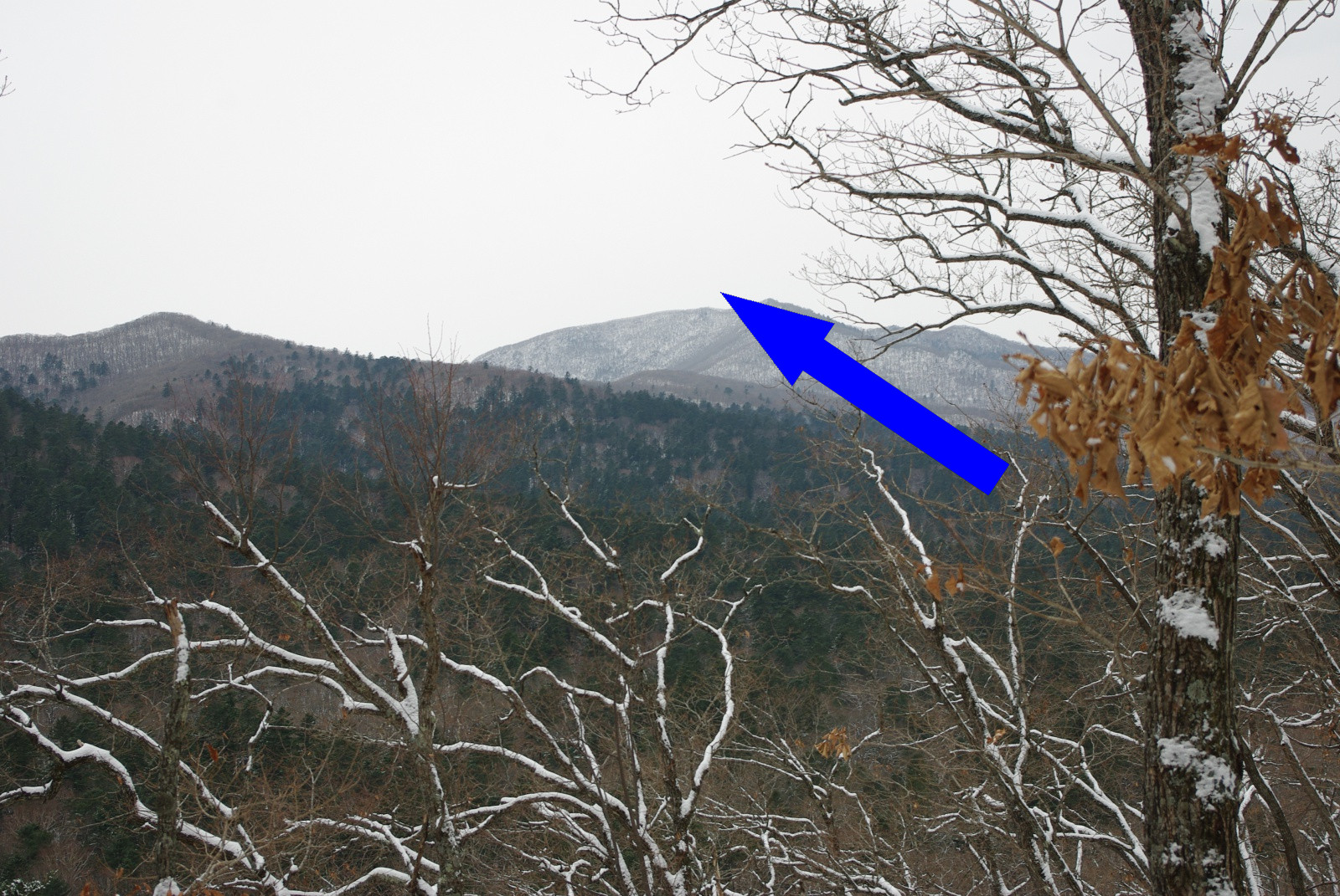 Заповедники России: сокровища природы от Кедровой Пади до Алтая