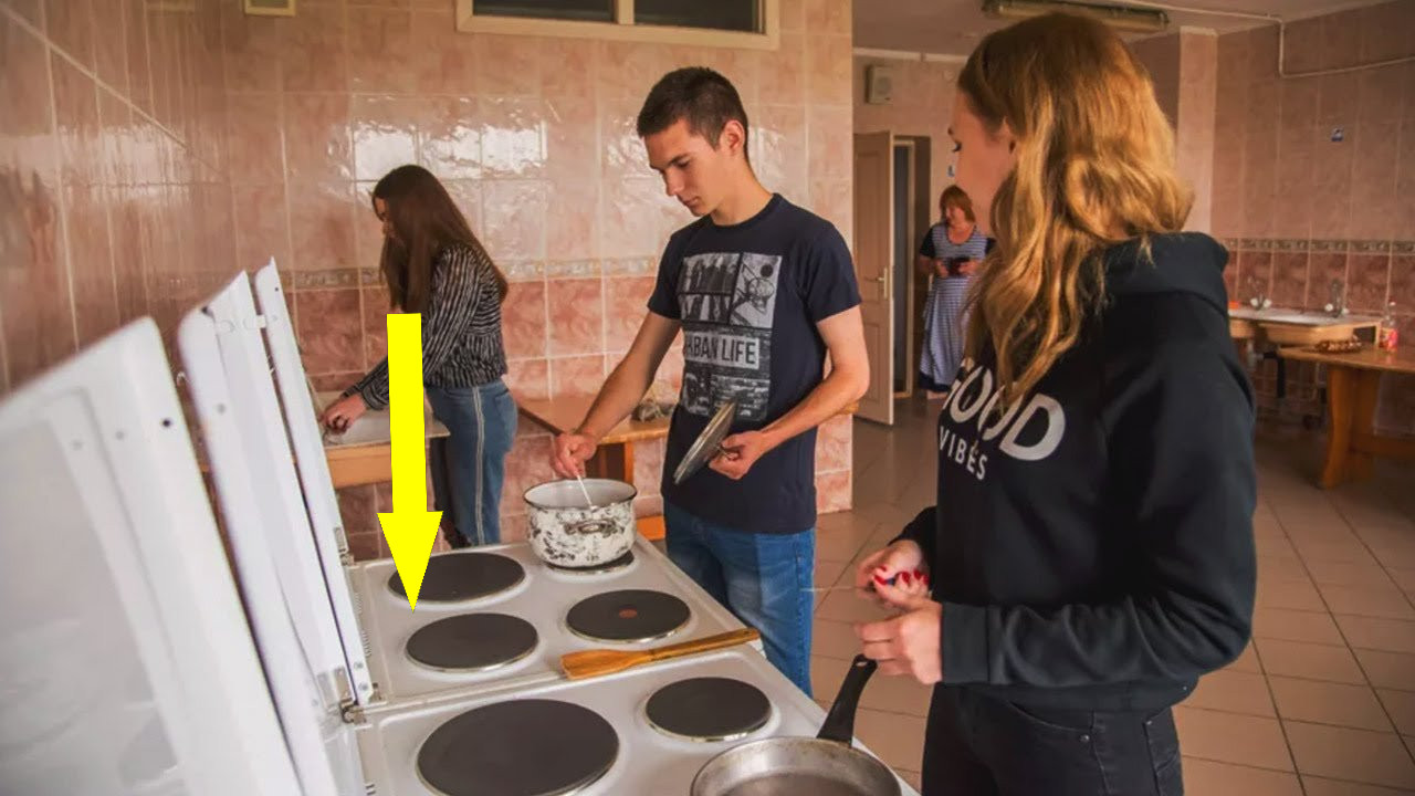 Языковая палитра общежития