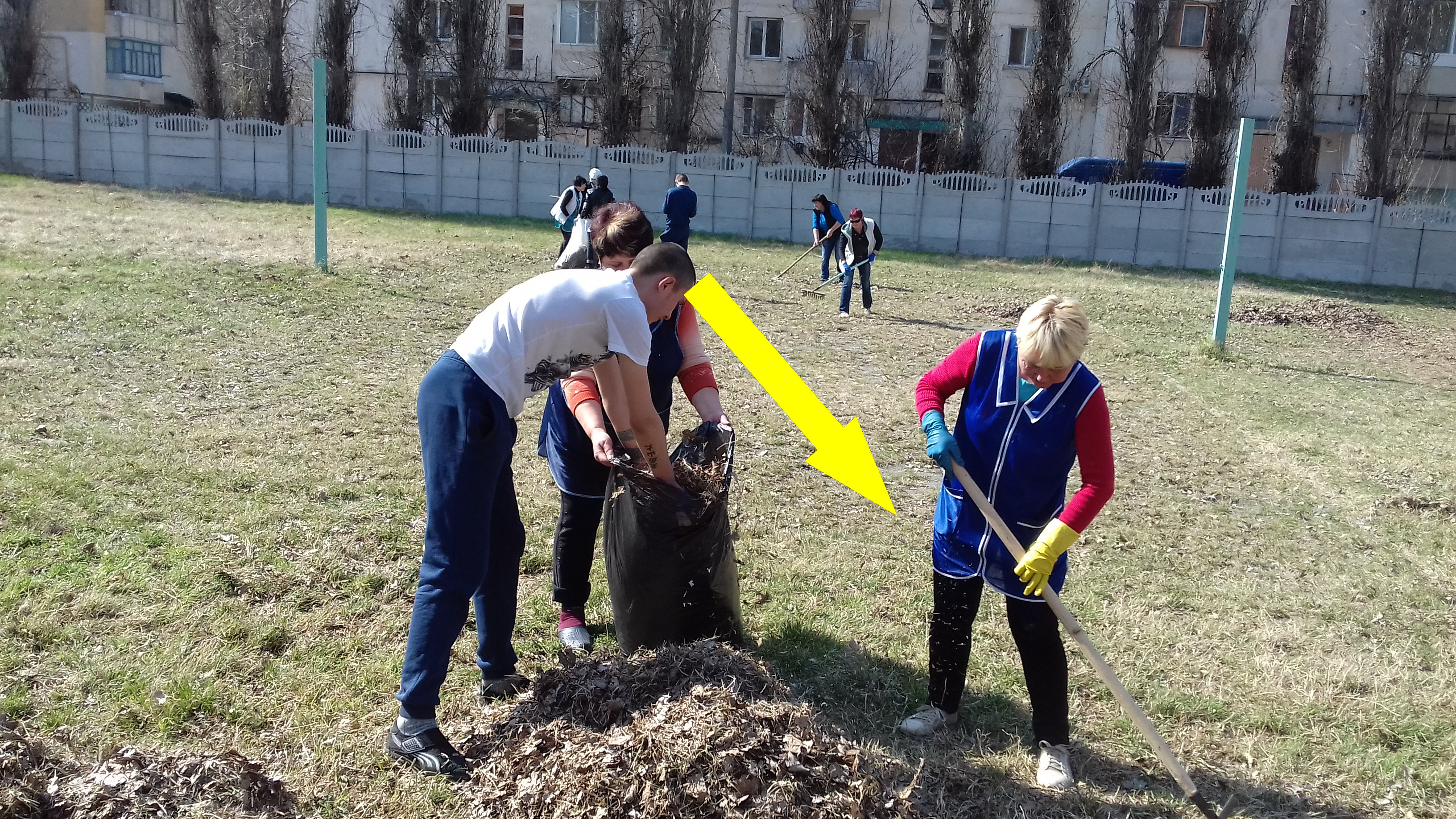 Класс как команда: как школа объединяет нас