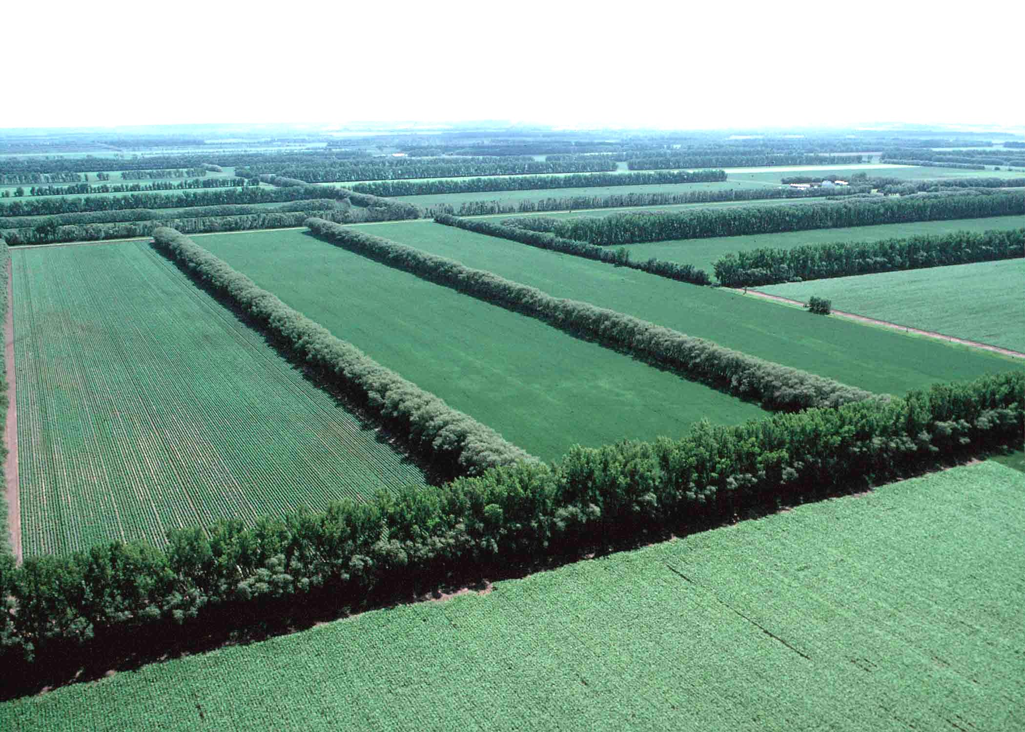 Тайна последнего удара Сталина: как план преобразования природы мог изменить мир