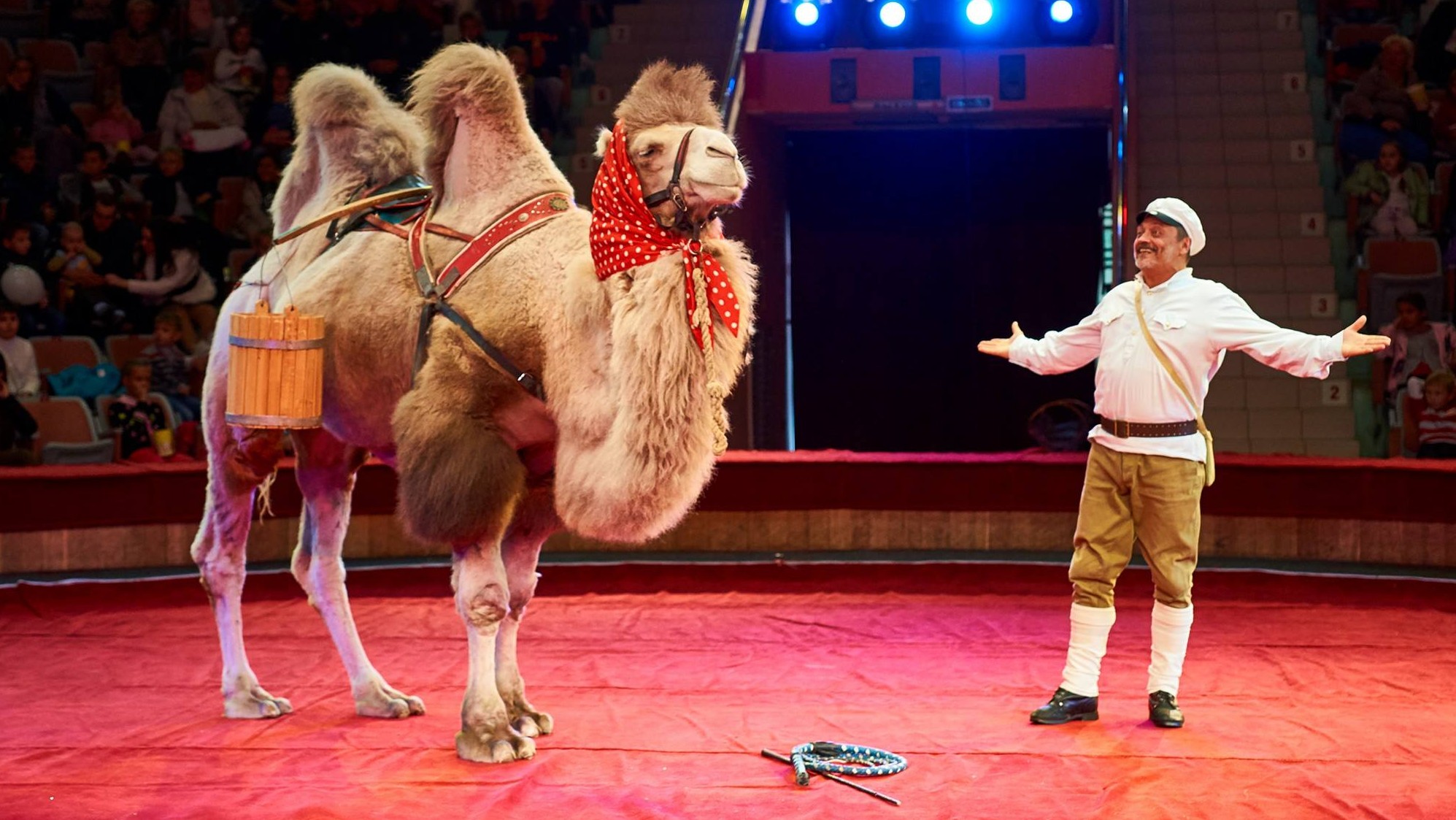 Как Советский цирк покорил сердца и мир: непередаваемые мгновения