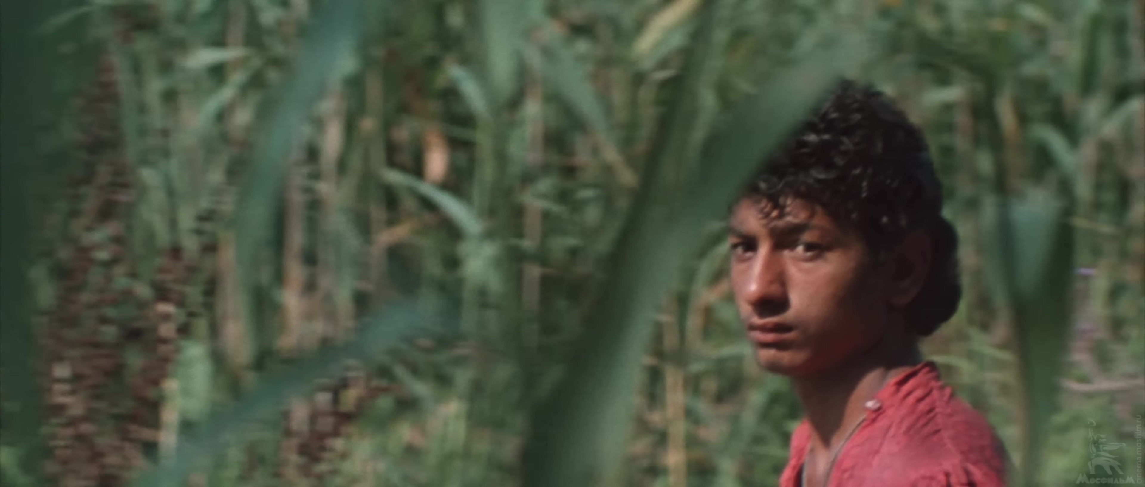 Неуловимые мстители: легенда о четырех героях, которые стали частью нашей истории