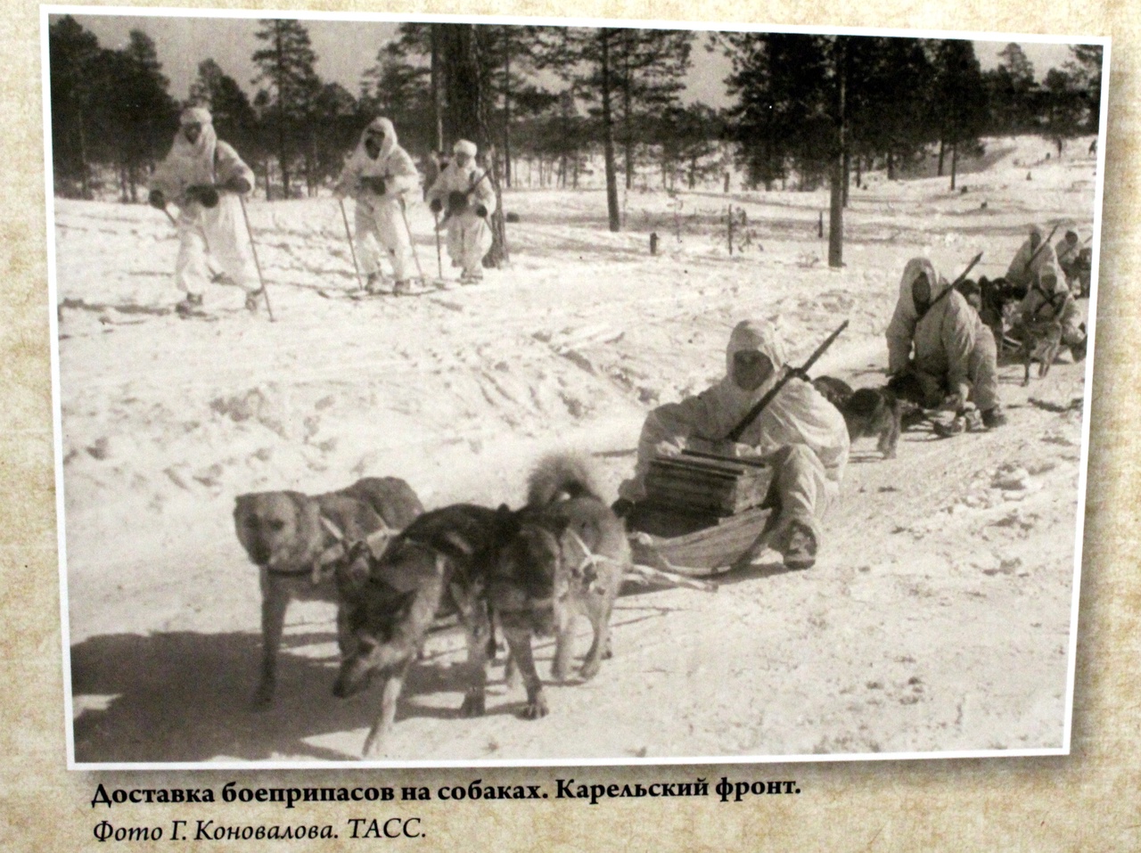 Улыбки сквозь слёзы: курьезы Великой Отечественной войны