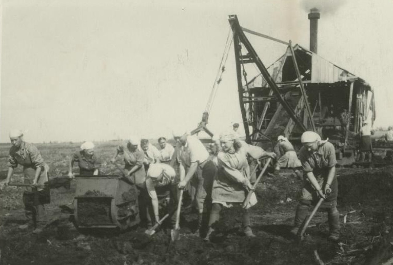 Этносоциальные и политические аспекты деятельности властей на Гомельщине в 1930-е годы