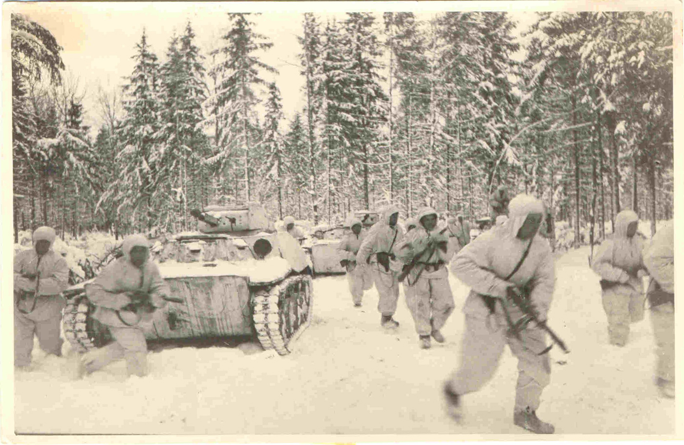 Загадка операции «песец» и её последствия