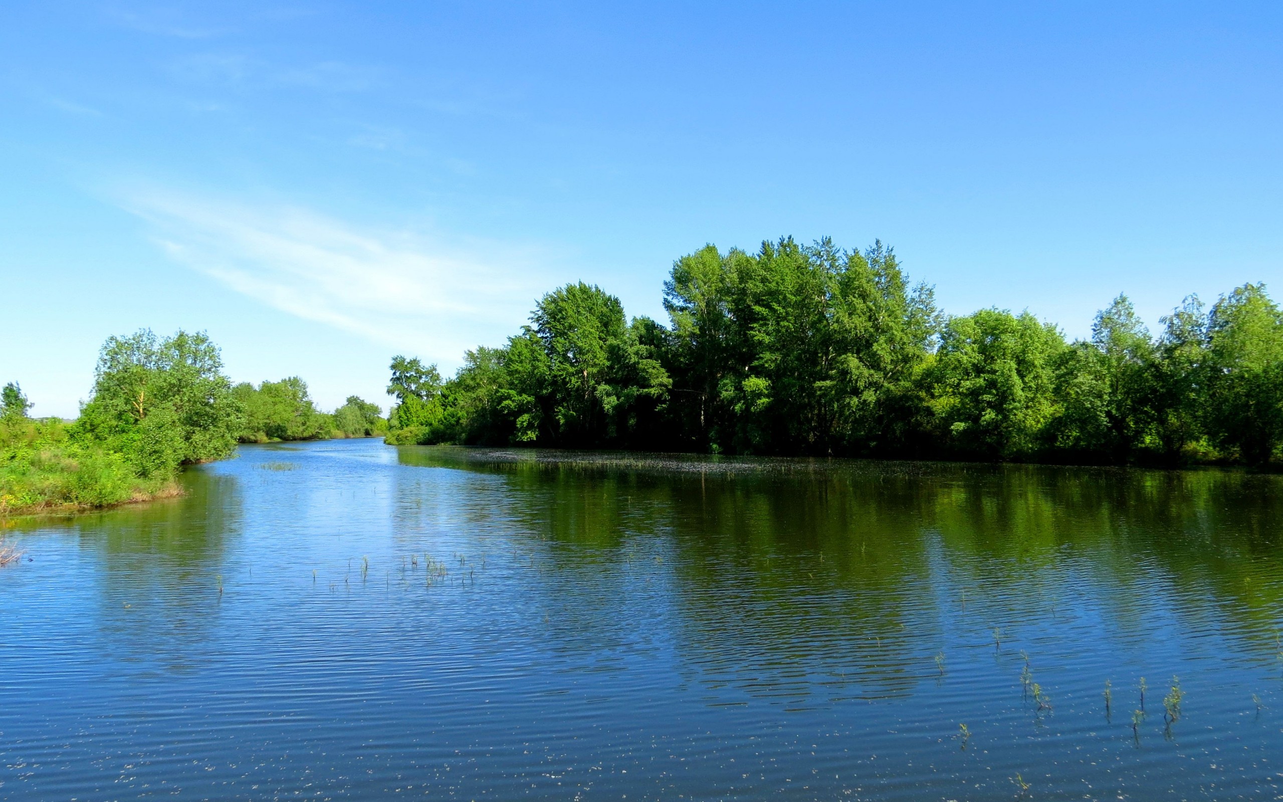 Загадка водных путей: что скрывают планы Хрущева?