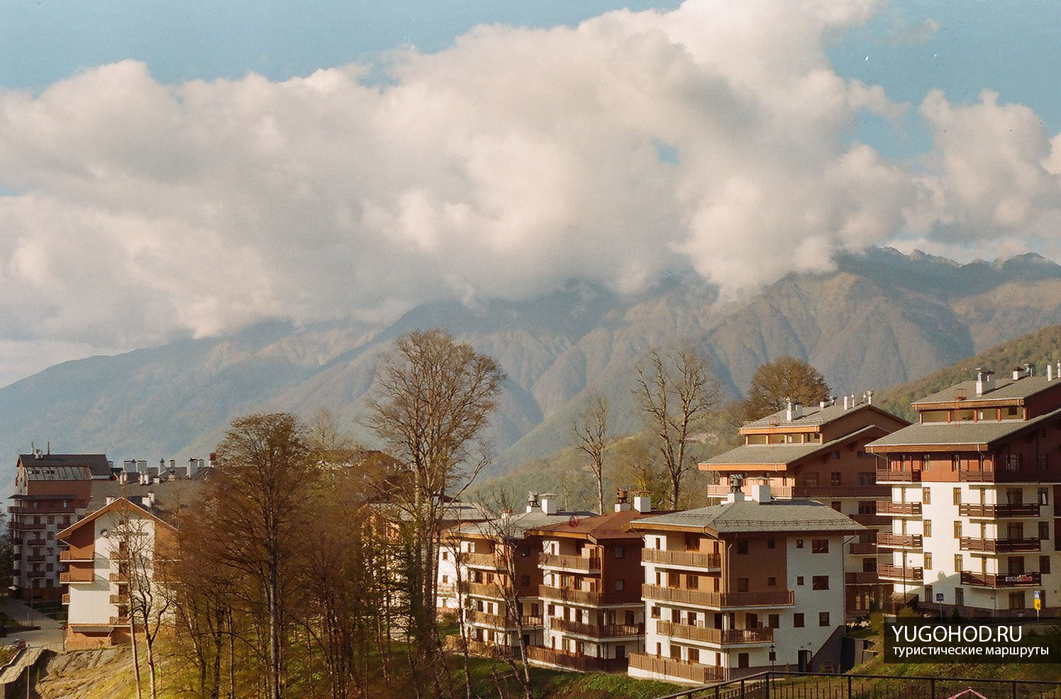 Зачем прятали гениального музыканта в Олимпийскую деревню?