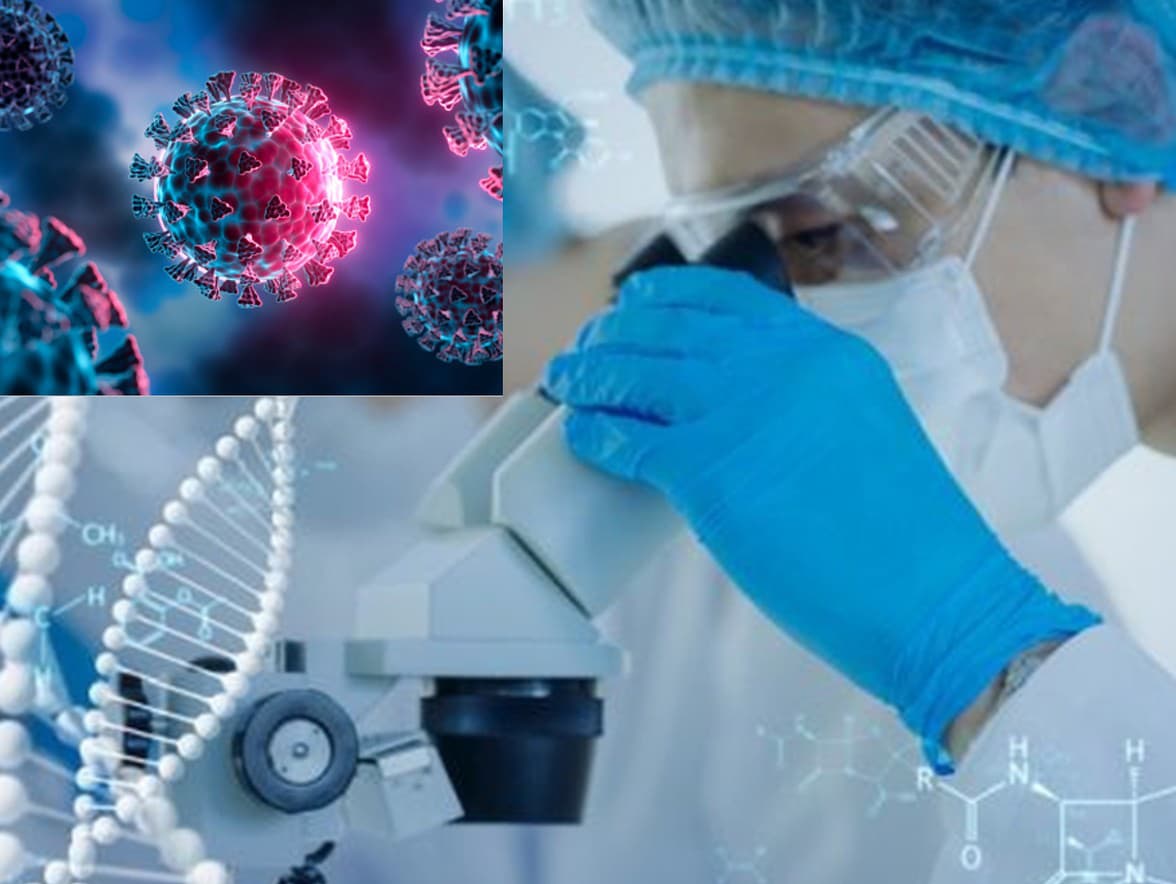 Что стоит за понятием "Час внедрения"?