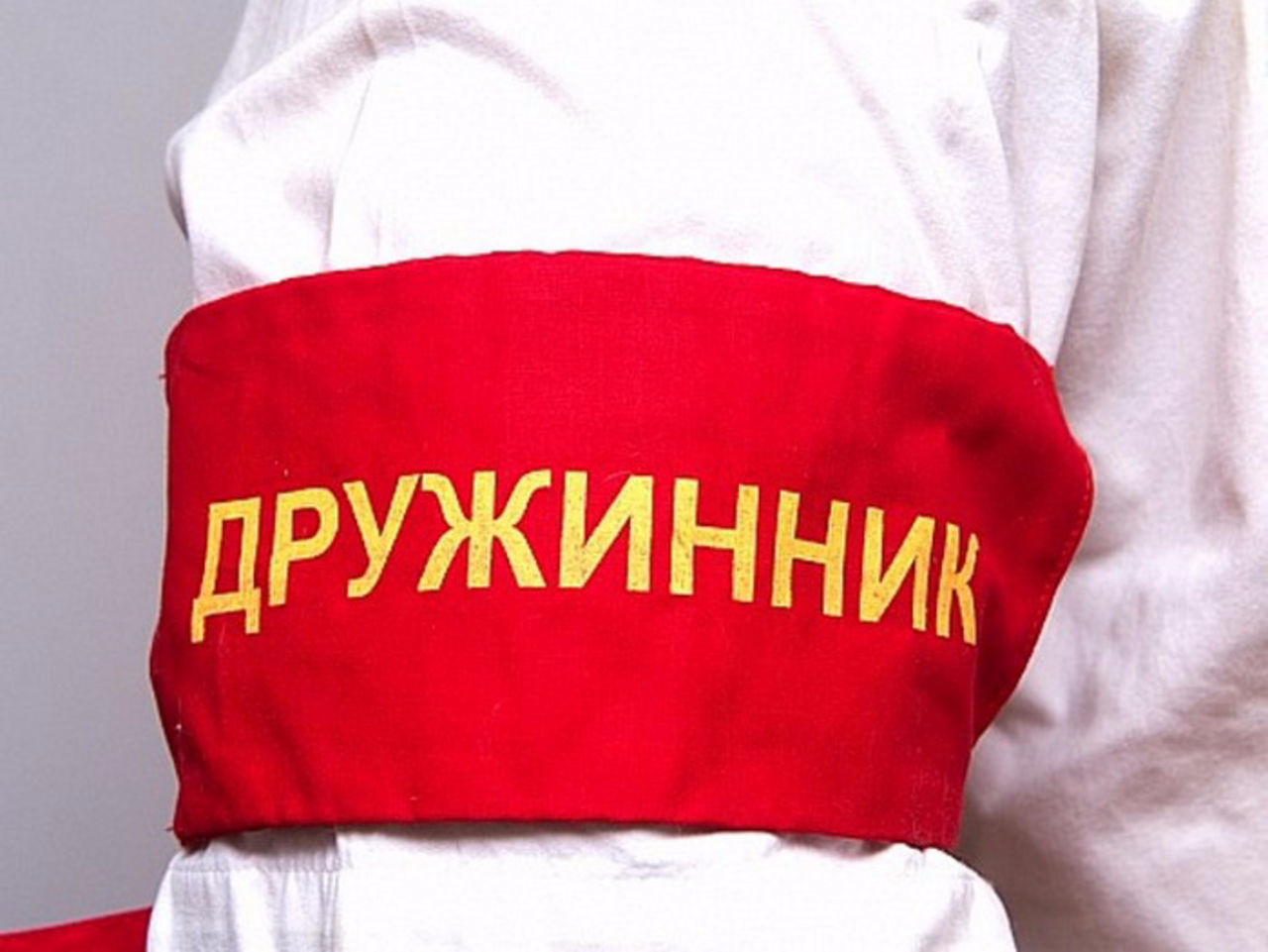 Зачем нам Дружинники: История, которую мы забыли?