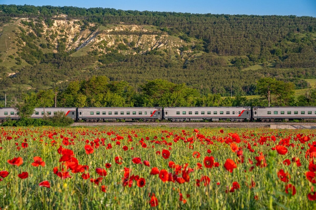 Как я пыталась догнать поезд, поднимаясь в небесах