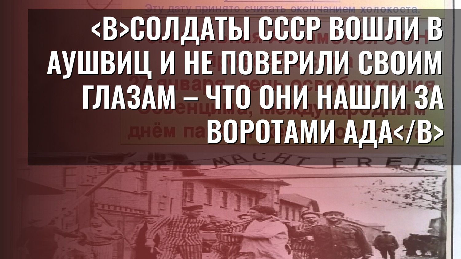 Солдаты СССР вошли в Аушвиц и не поверили своим глазам – что они нашли за воротами ада