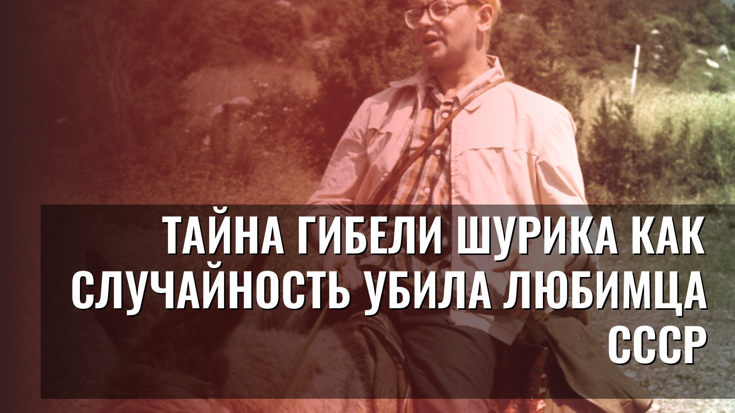 Тайна гибели Шурика Как случайность убила любимца СССР