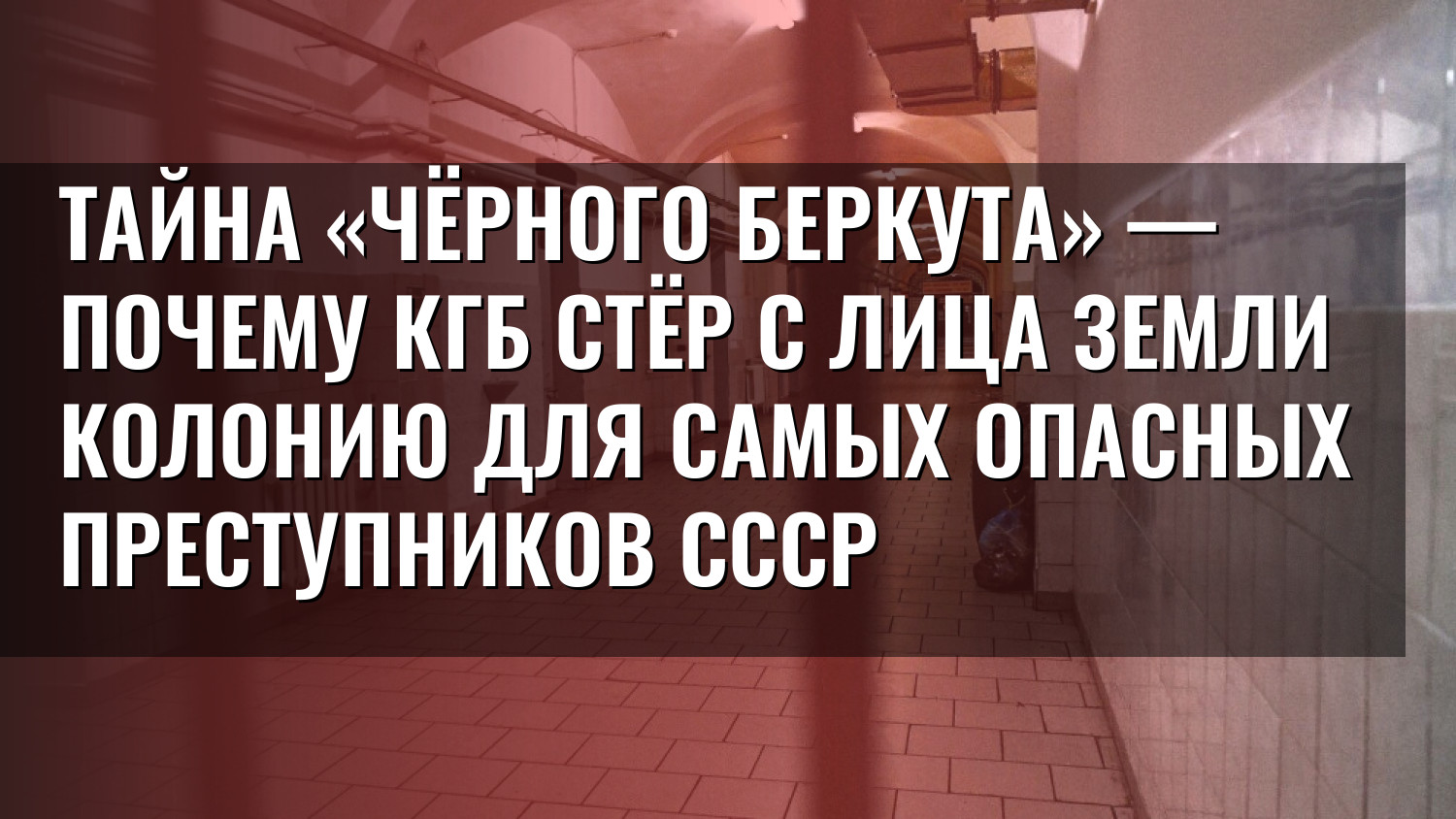 Тайна «Чёрного беркута» — почему КГБ стёр с лица земли колонию для самых опасных преступников СССР