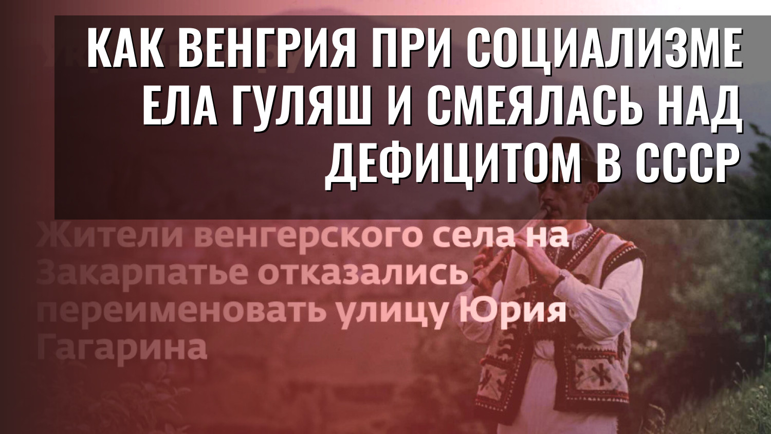 Как Венгрия при социализме ела гуляш и смеялась над дефицитом в СССР