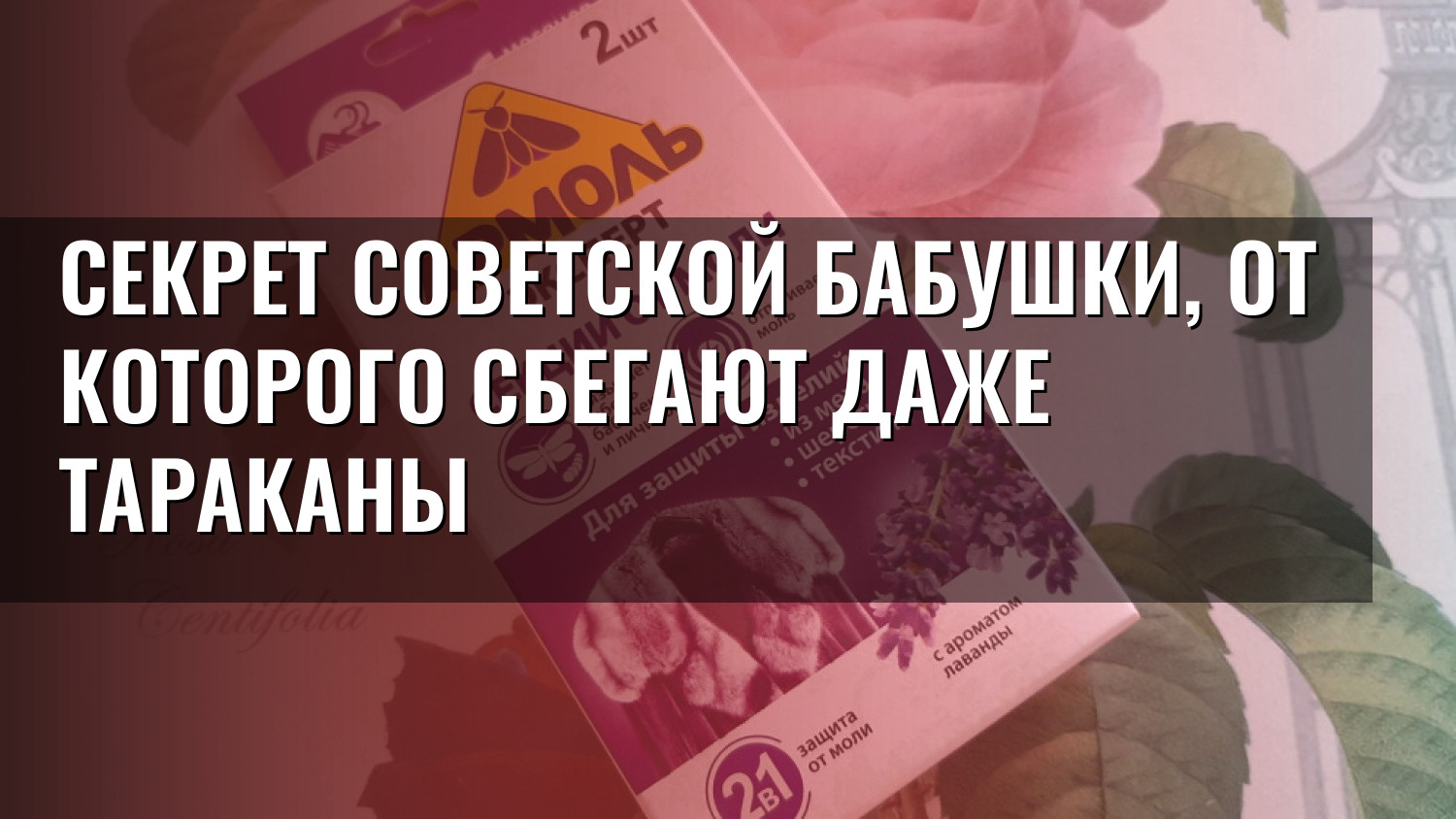 Секрет советской бабушки, от которого сбегают даже тараканы