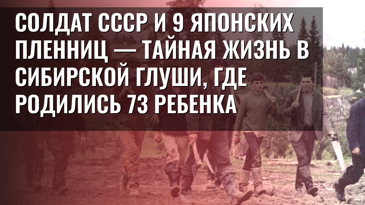 Солдат СССР и 9 японских пленниц — тайная жизнь в сибирской глуши, где родились 73 ребенка