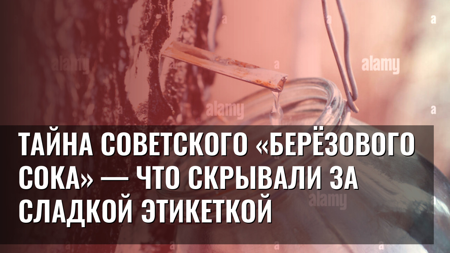 Тайна советского «Берёзового сока» — что скрывали за сладкой этикеткой