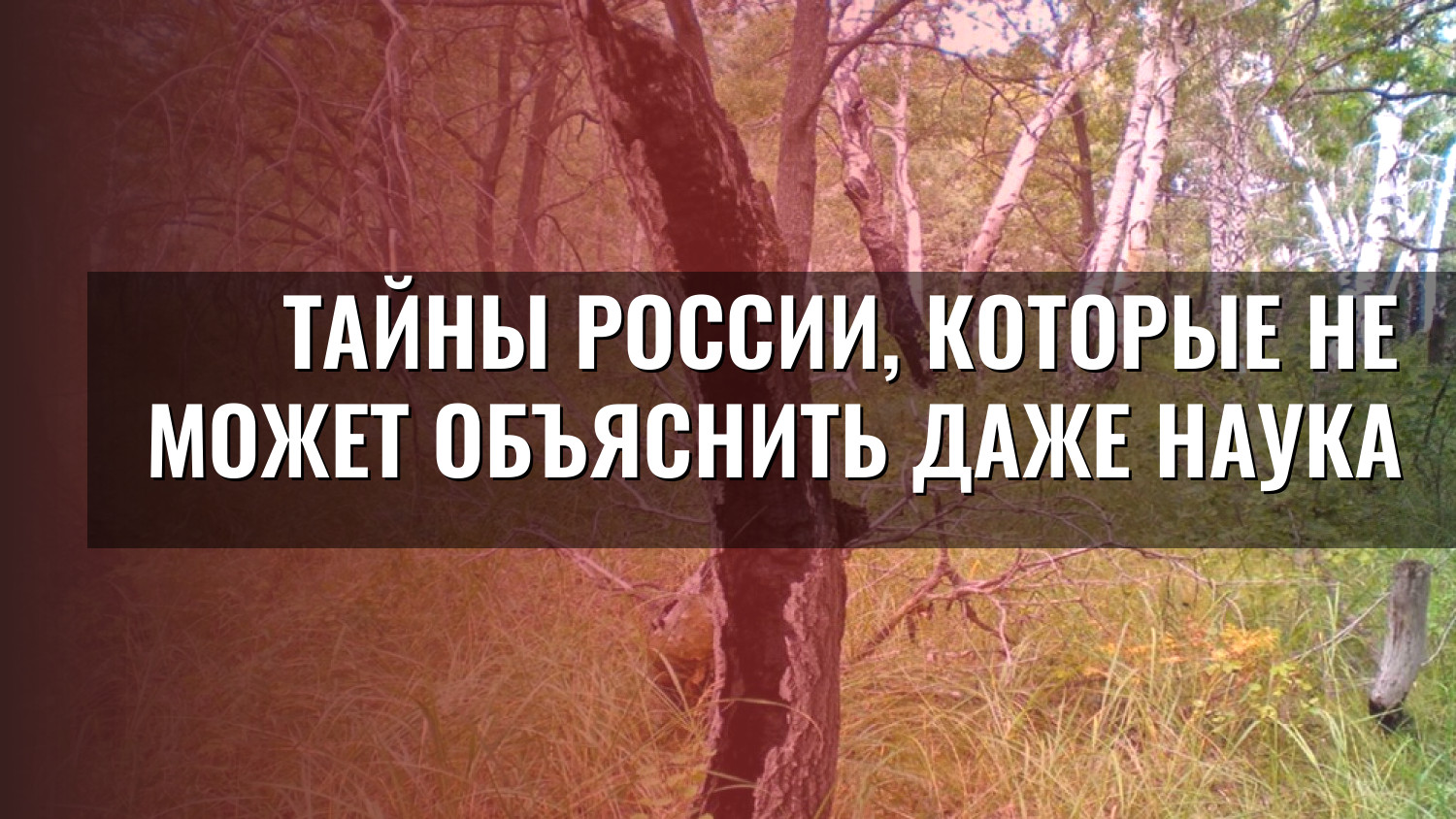 Тайны России, которые не может объяснить даже наука