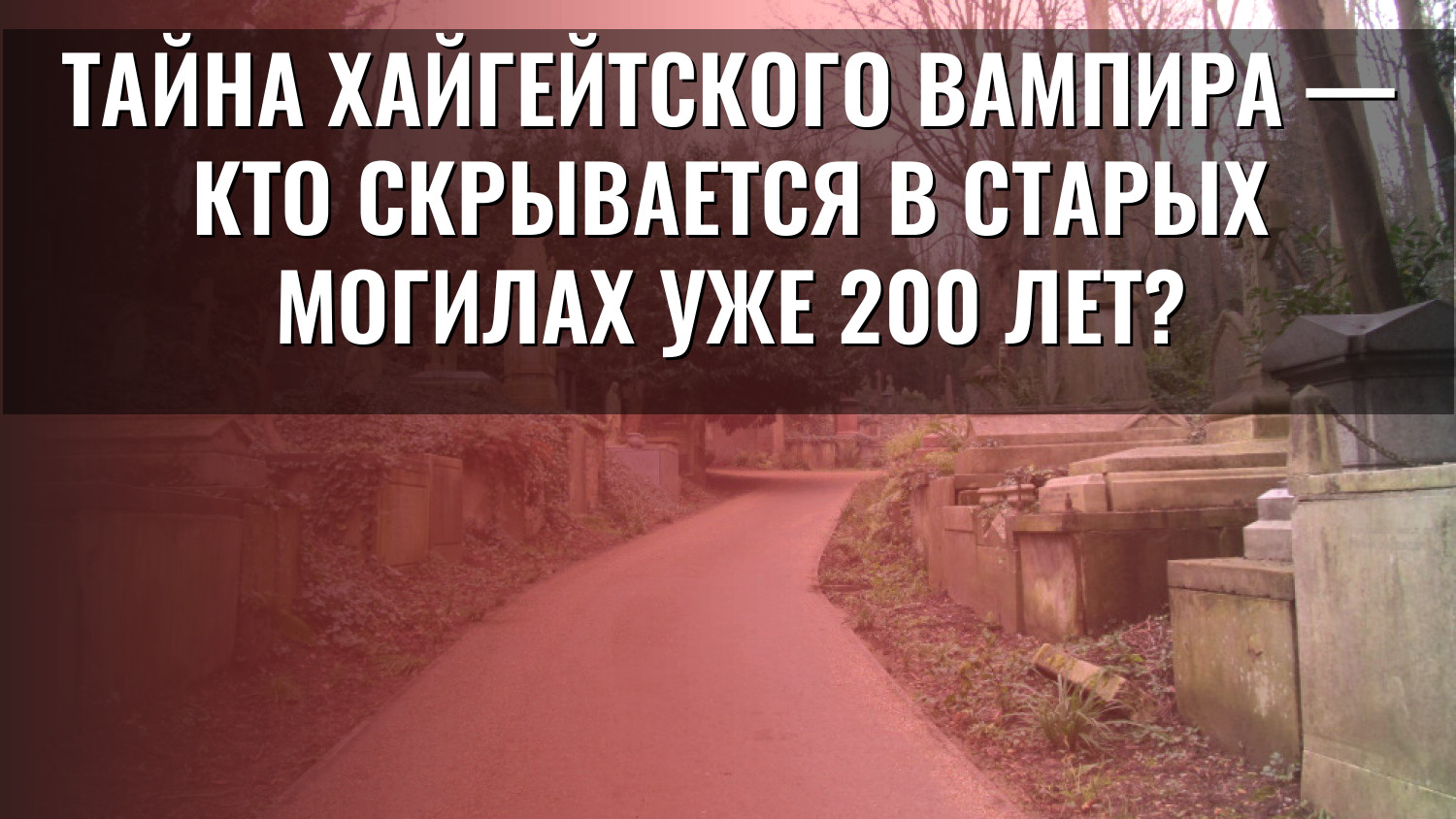 Тайна Хайгейтского вампира — кто скрывается в старых могилах уже 200 лет?