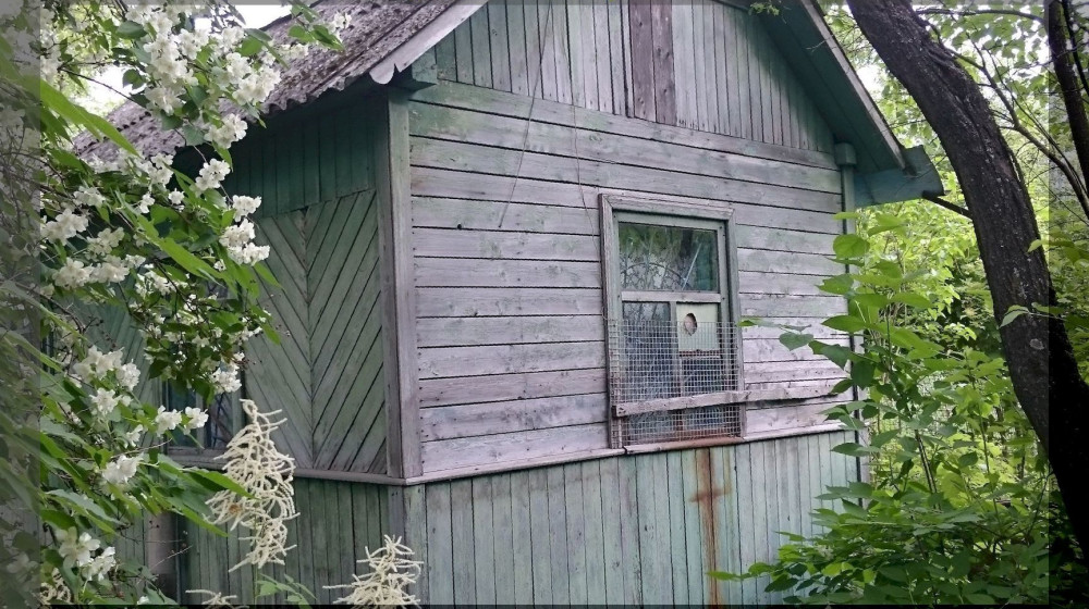 6 соток советского рая или как дача стала культом