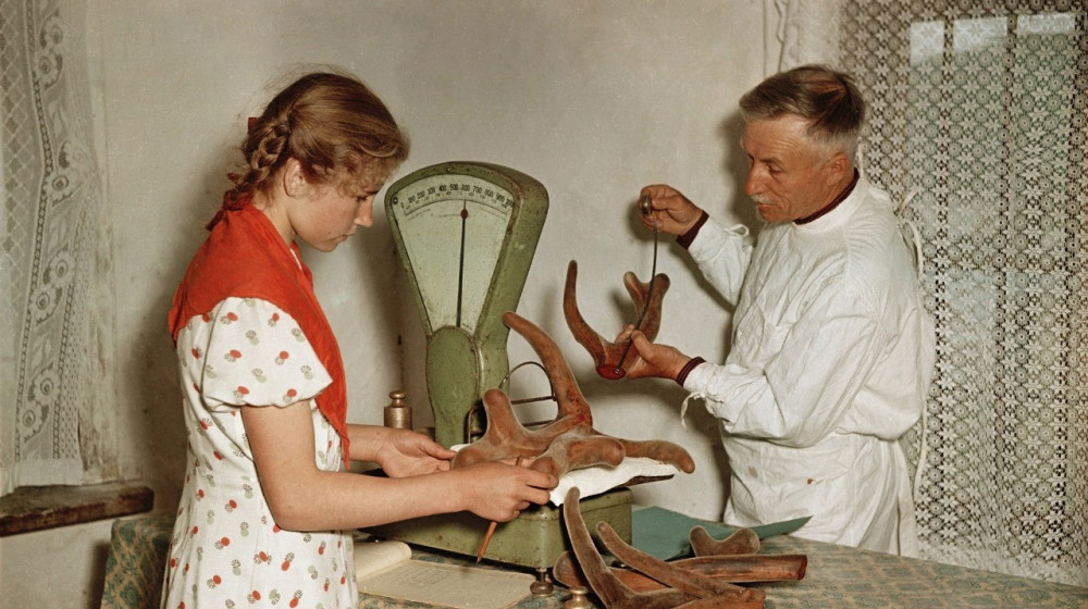 Ностальгия по СССР — почему миллионы до сих пор мечтают о прошлом?